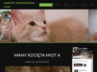 Podgląd iwoka-pl-hodowla-maine-coon2.webnode.com