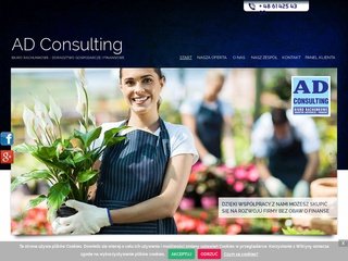 Podgląd adconsulting.com.pl