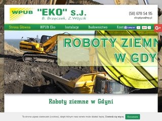 Podgląd eko-sieci.pl