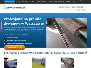 Podgląd czyste-dywany.pl