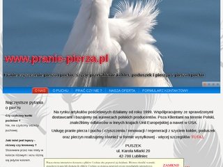 Podgląd pranie-pierza.pl