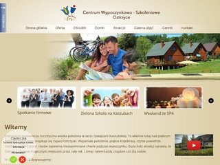 Podgląd cwsostrzyce.com