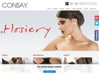 Podgląd consay.com.pl