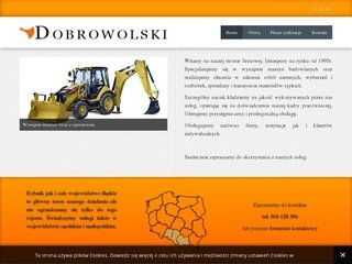 Podgląd dobrowolskifhu.pl