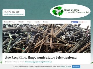 Podgląd skupzlomu-elektroniki.pl