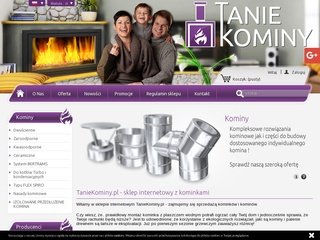 Podgląd taniekominy.pl