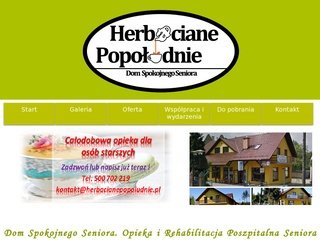 Podgląd herbacianepopoludnie.pl