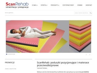 Podgląd scanrehab.pl