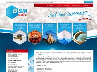 Podgląd bsmsalt.com.pl