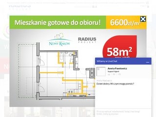 Podgląd radius-projekt.pl