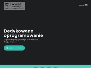 Podgląd oprogramowanie-dedykowane-dla-firm.pl